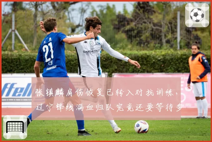 张镇麟肩伤恢复已转入对抗训练,辽宁锋线满血归队究竟还要等待多久?