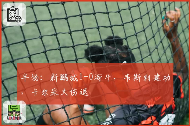 半场:新鹏城1-0海牛,韦斯利建功,卡尔采夫伤退