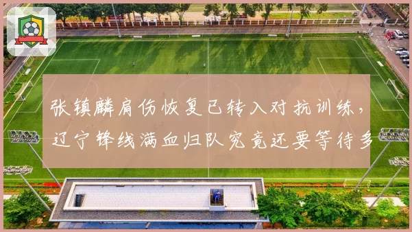 张镇麟肩伤恢复已转入对抗训练,辽宁锋线满血归队究竟还要等待多久?