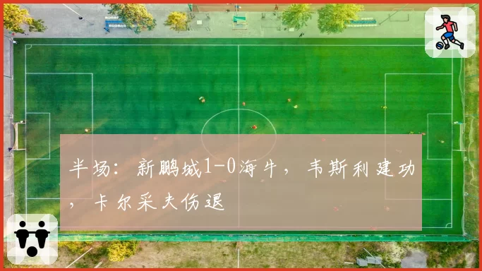 半场:新鹏城1-0海牛,韦斯利建功,卡尔采夫伤退