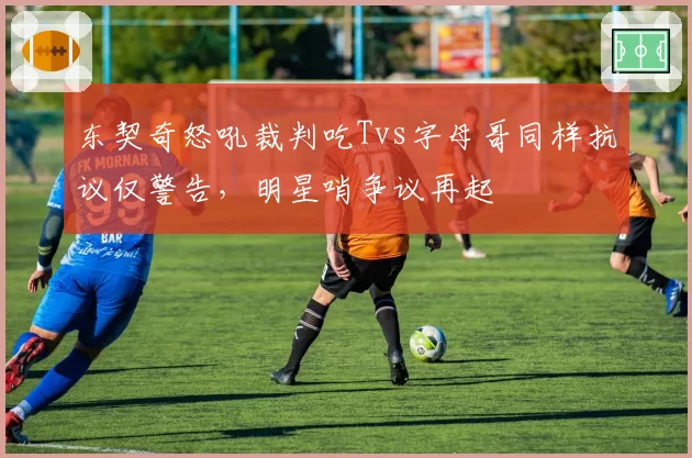 东契奇怒吼裁判吃Tvs字母哥同样抗议仅警告，明星哨争议再起