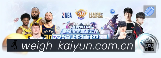 安全使用与支持流程